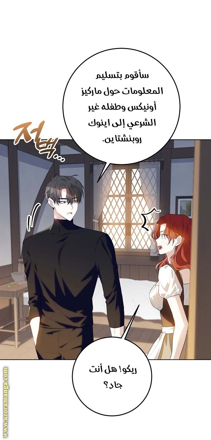 الصفحة 25