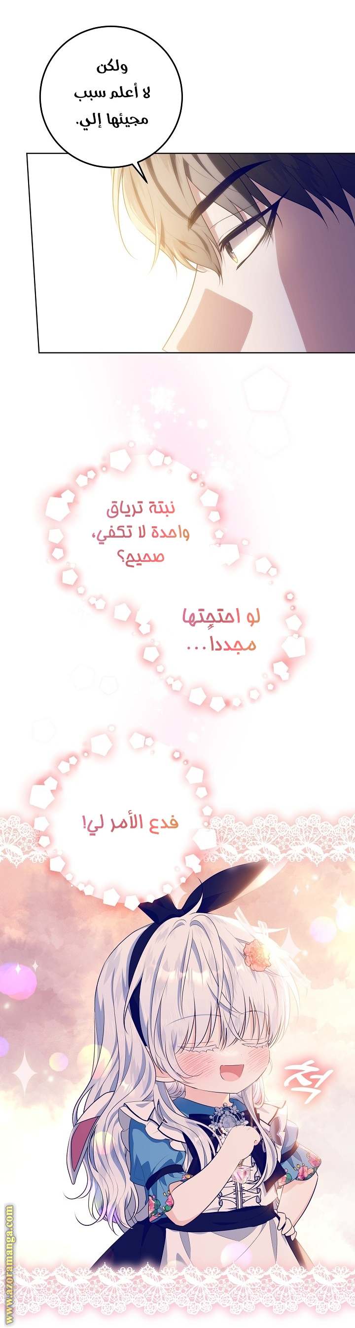 الصفحة 27