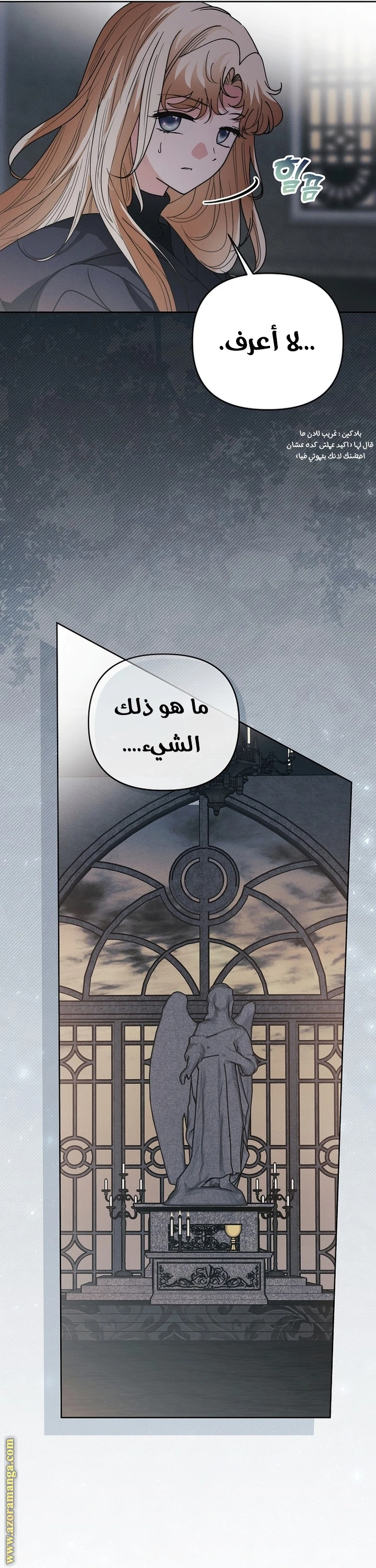 الصفحة 18
