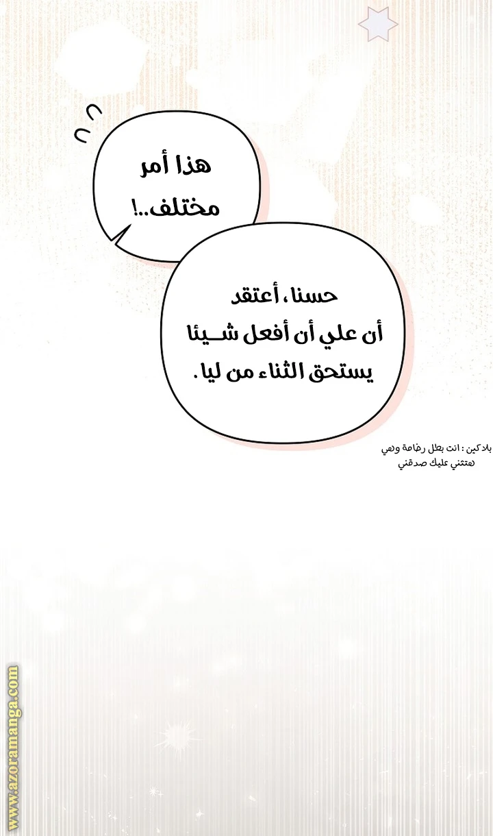الصفحة 29