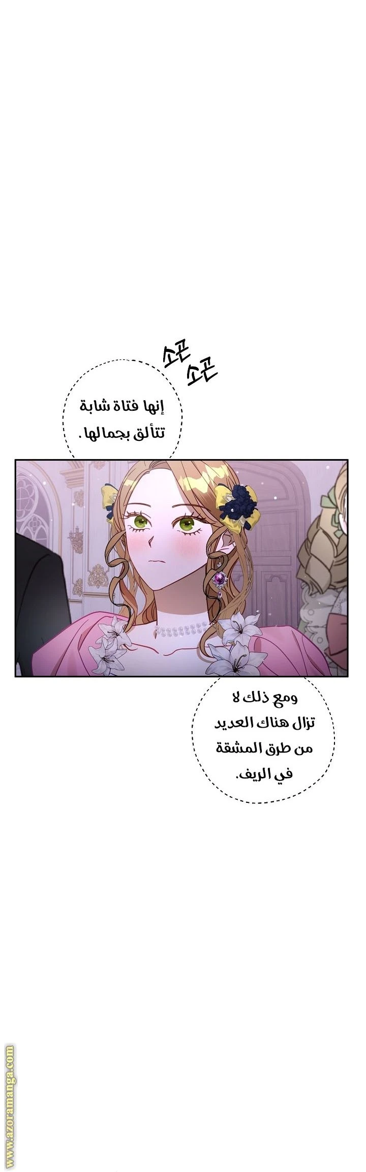 الصفحة 11