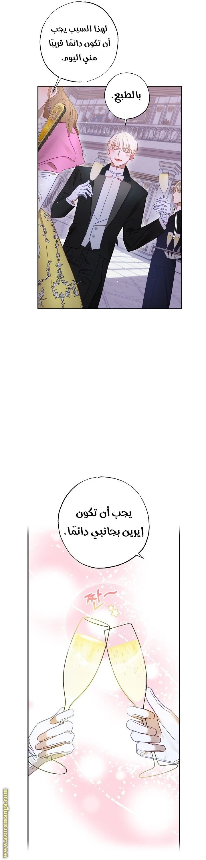 الصفحة 39