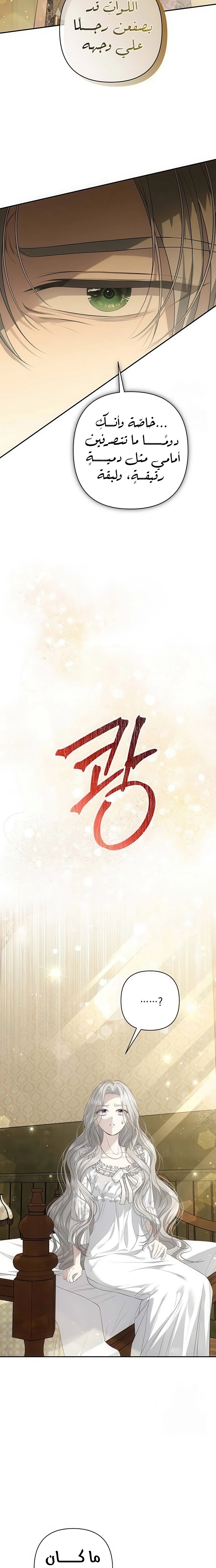 الصفحة 20