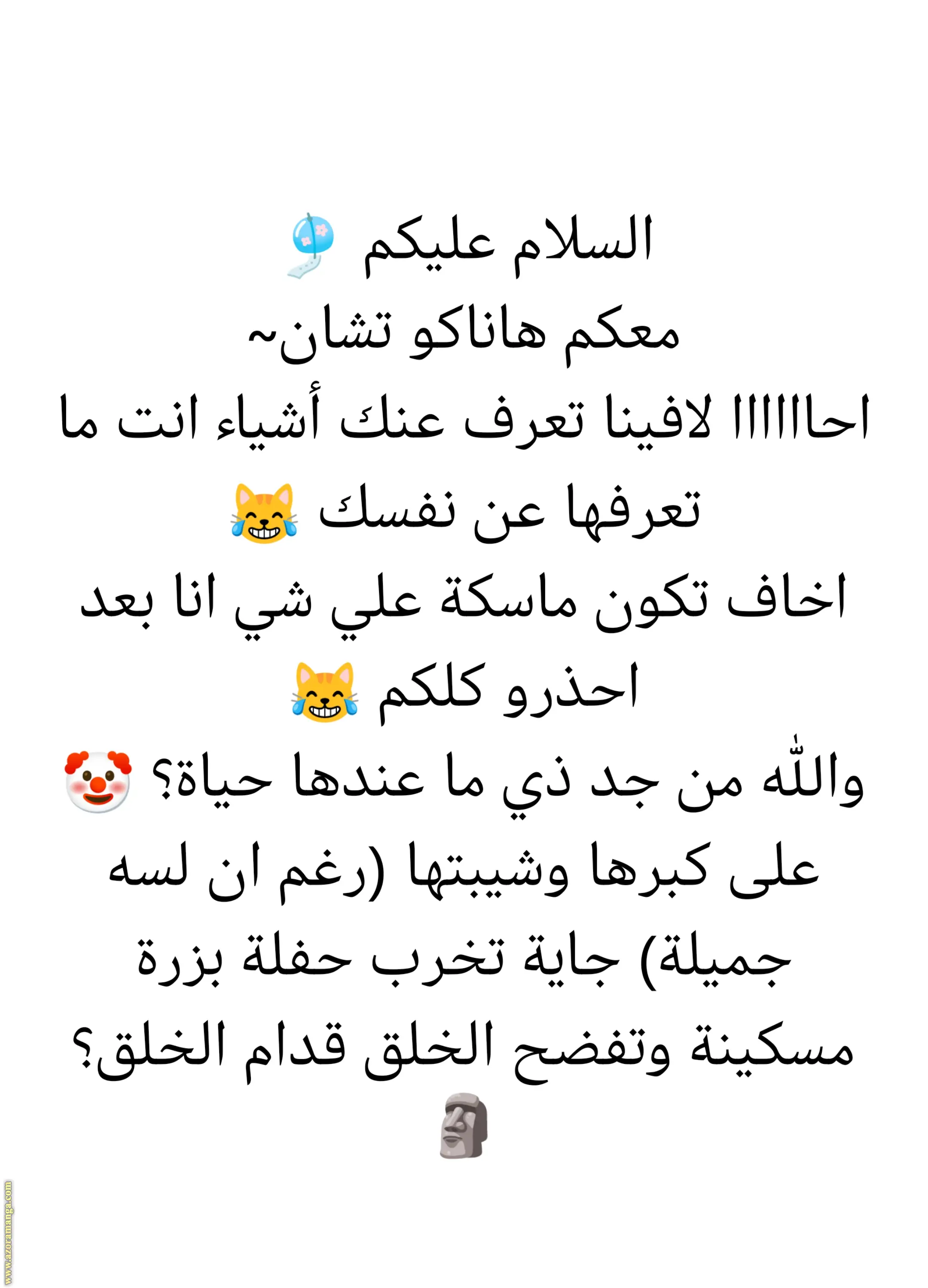الصفحة 13