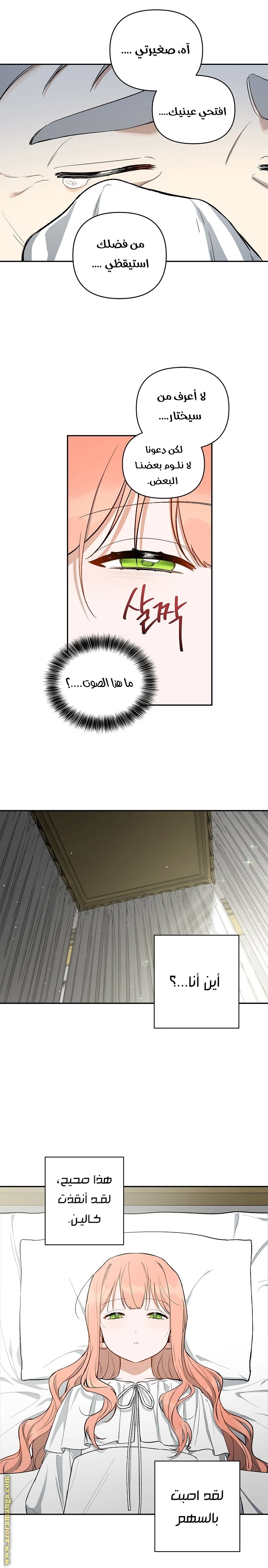 الصفحة 7