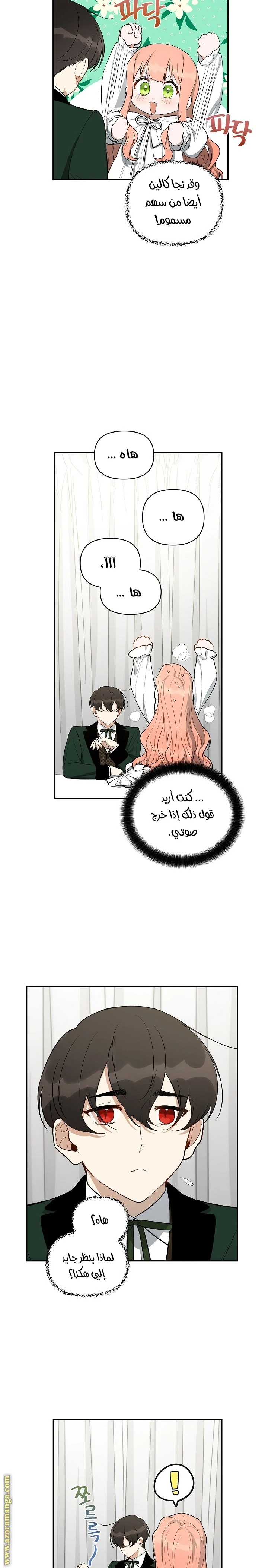 الصفحة 11