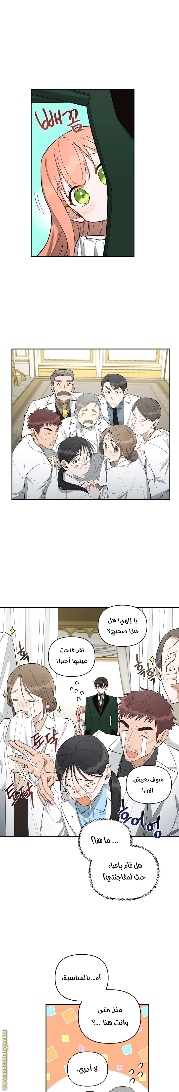 الصفحة 14