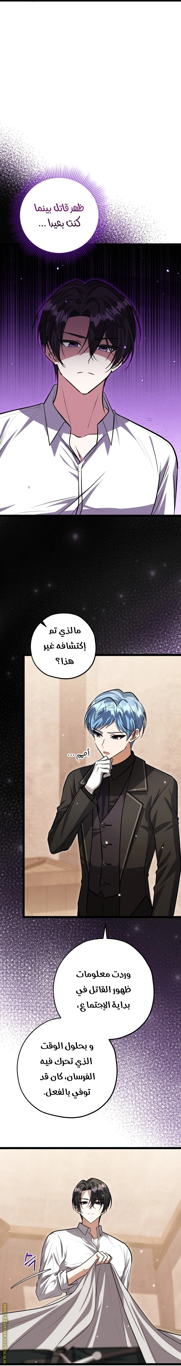 الصفحة 14