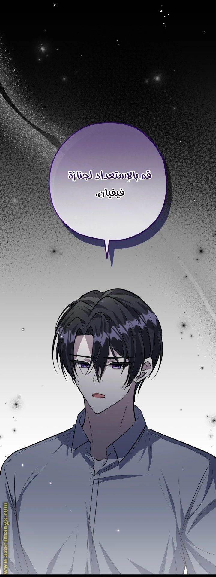 الصفحة 27