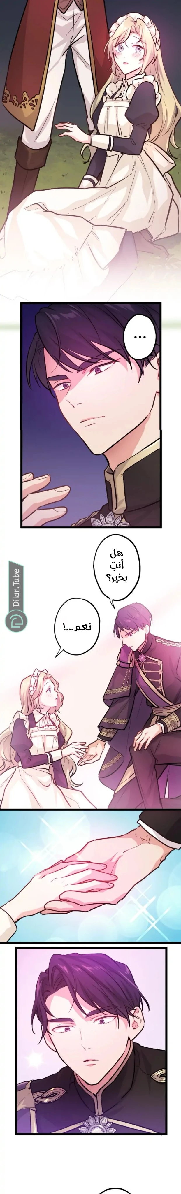 الصفحة 11
