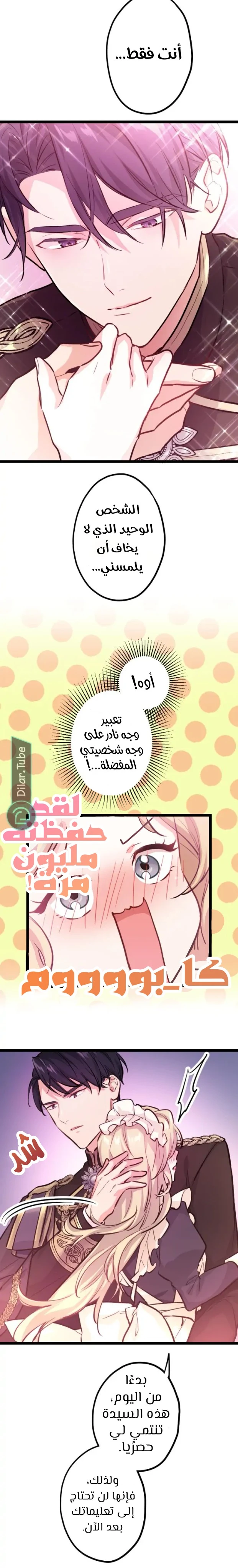 الصفحة 12