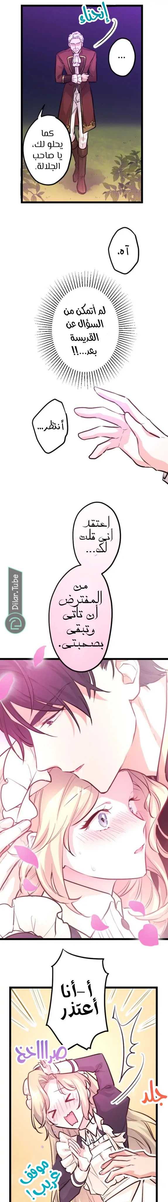 الصفحة 13
