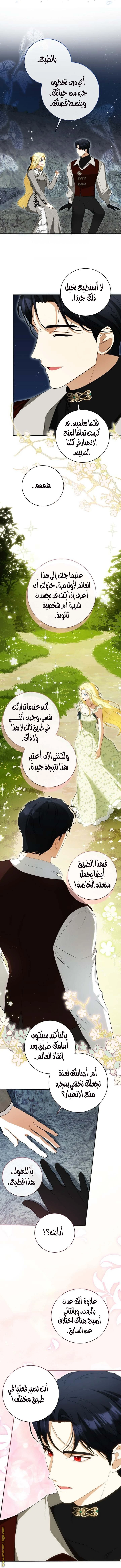 الصفحة 17
