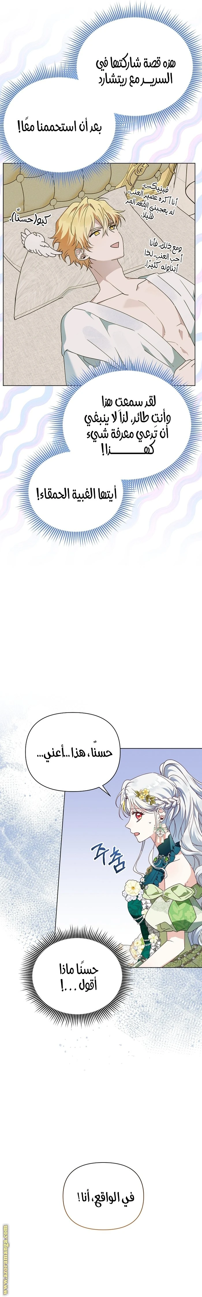 الصفحة 11