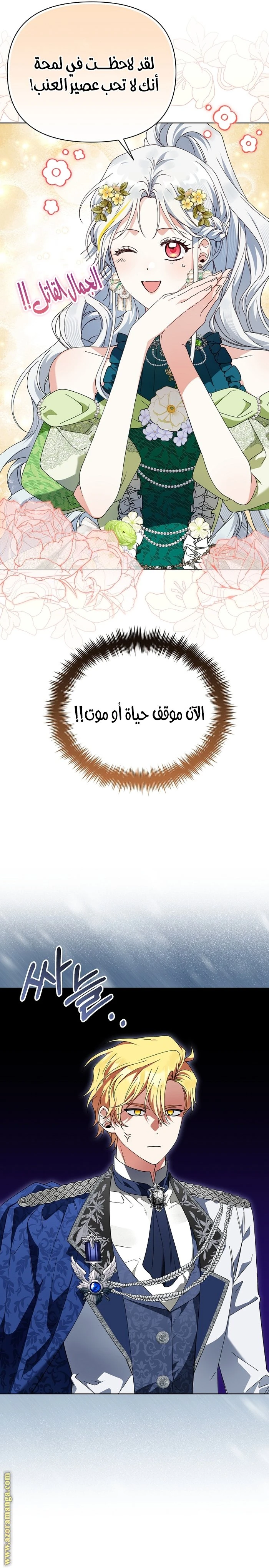 الصفحة 12
