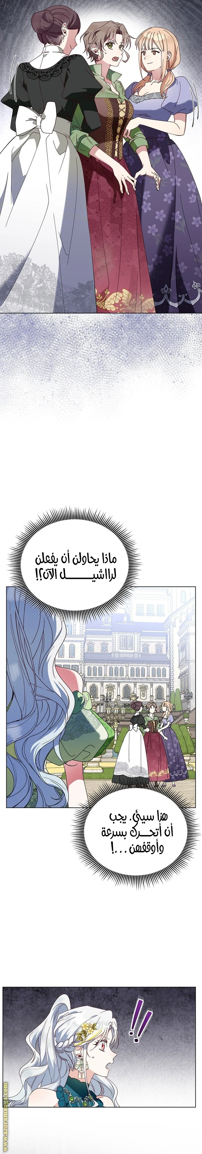 الصفحة 25