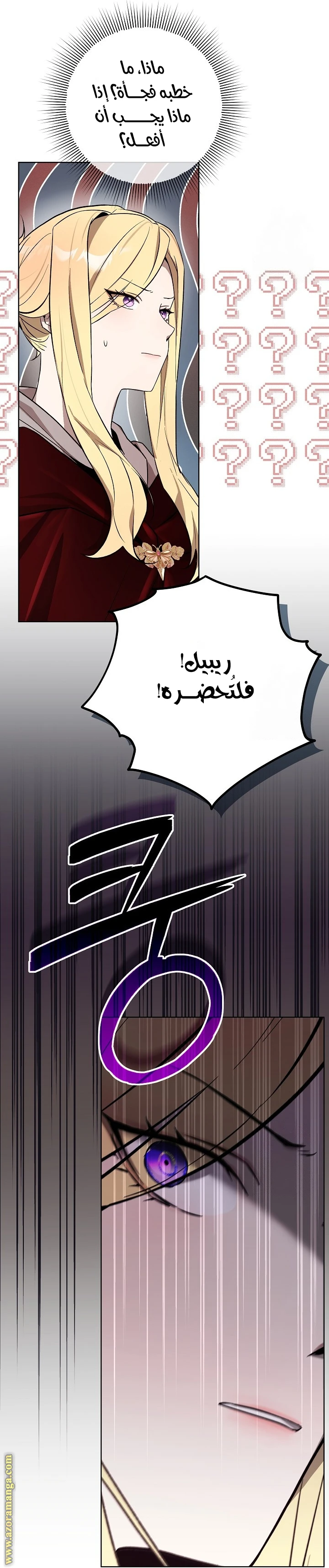 الصفحة 29