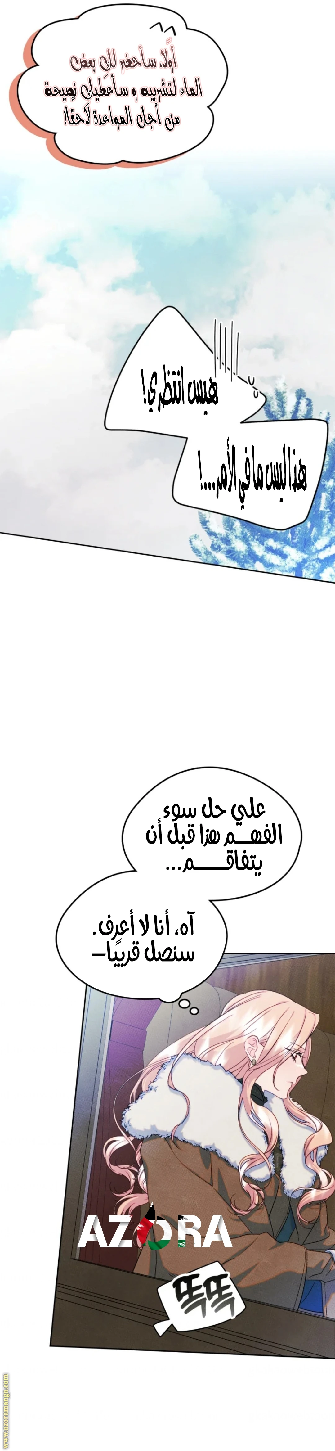 الصفحة 17