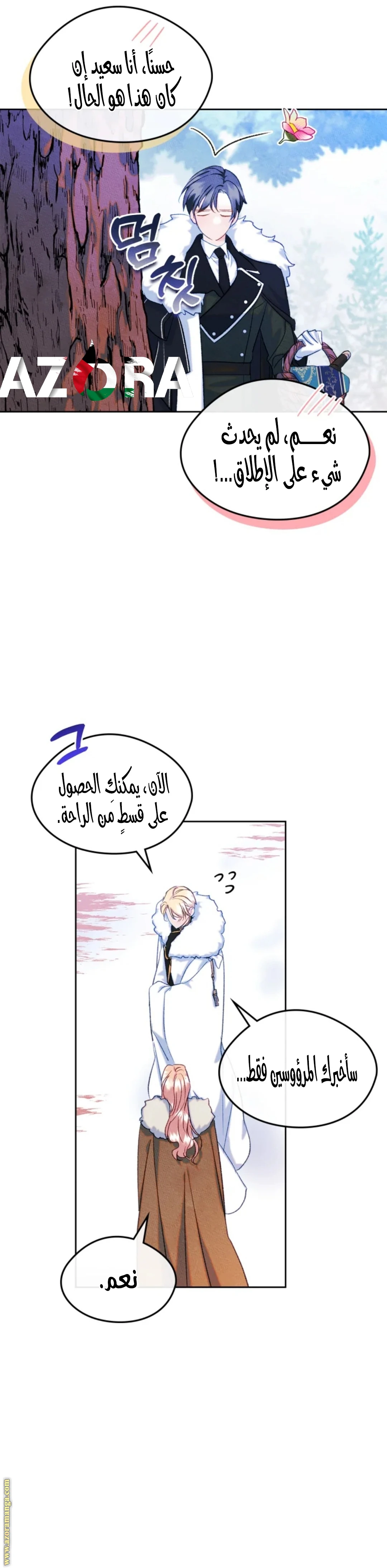 الصفحة 25