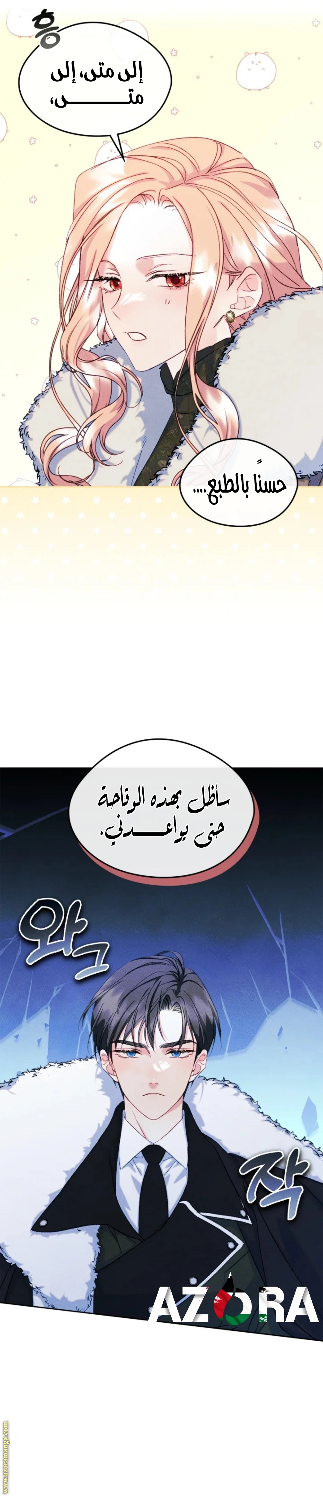 الصفحة 27