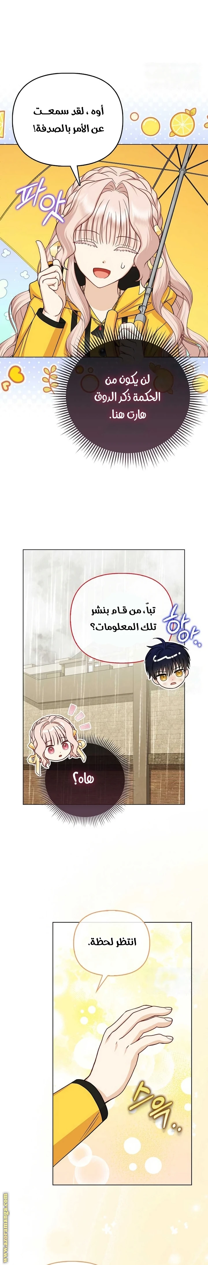 الصفحة 3