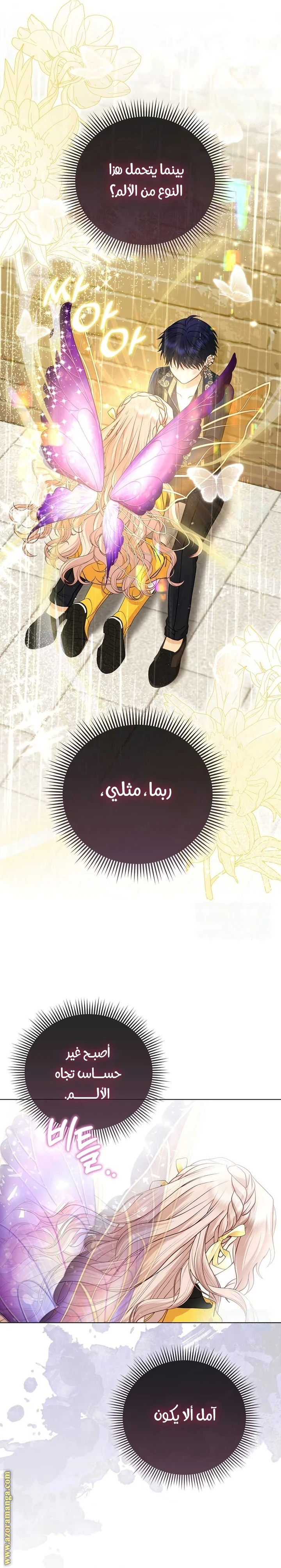 الصفحة 11