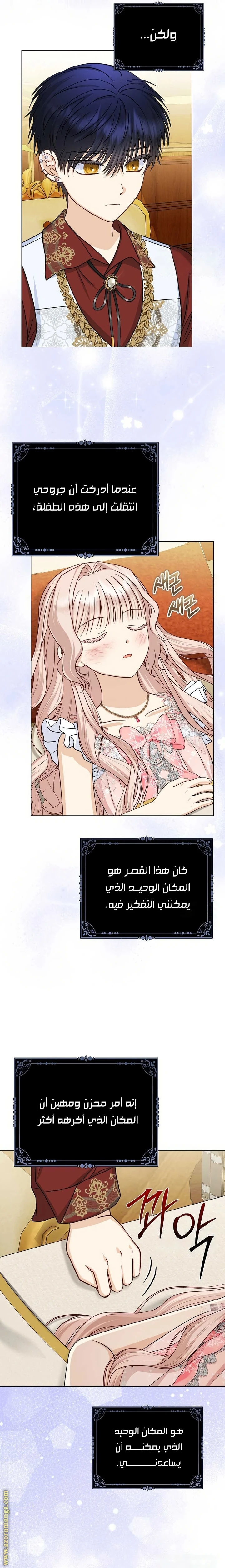 الصفحة 17