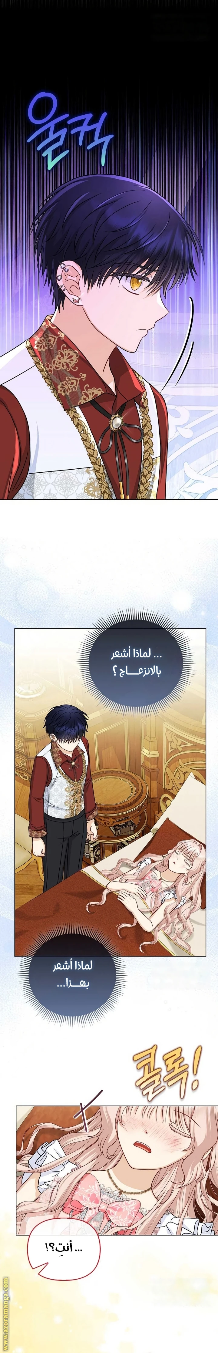 الصفحة 24