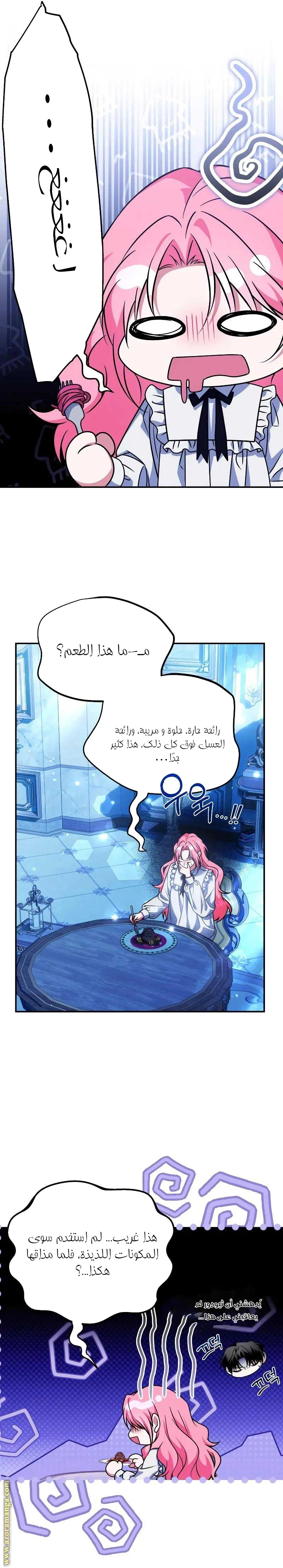 الصفحة 13