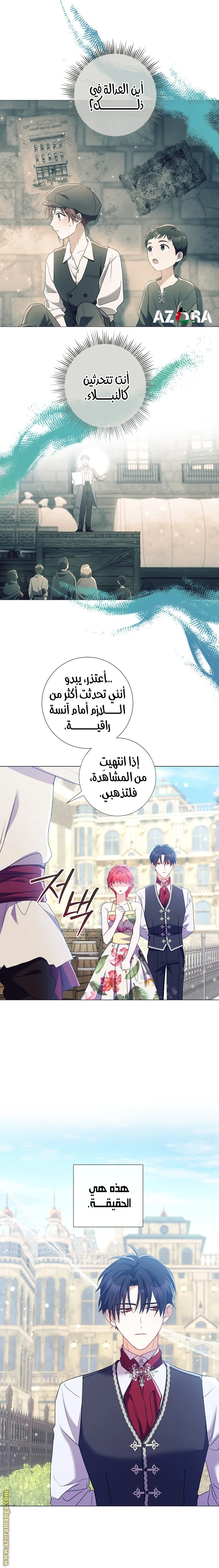 الصفحة 17