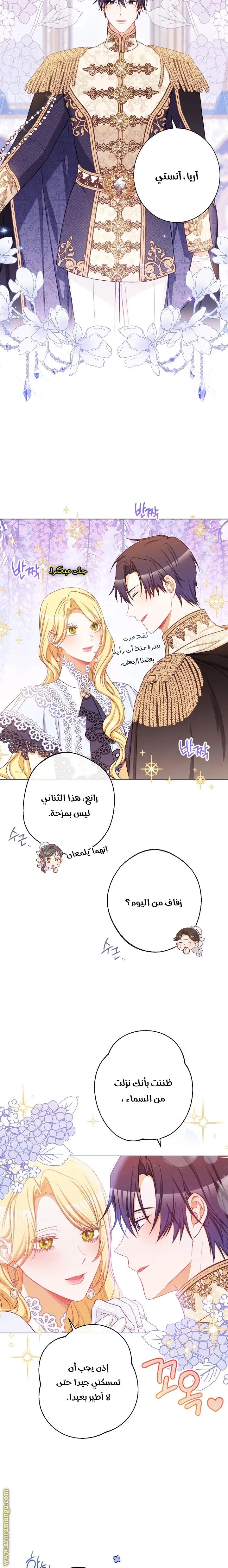 الصفحة 17