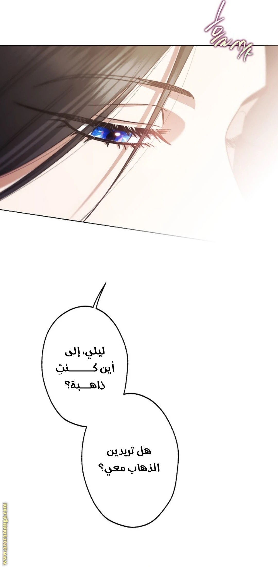 الصفحة 25