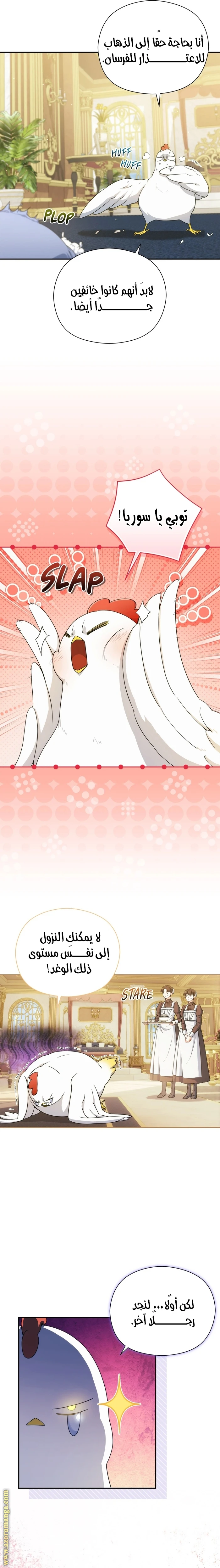 الصفحة 3
