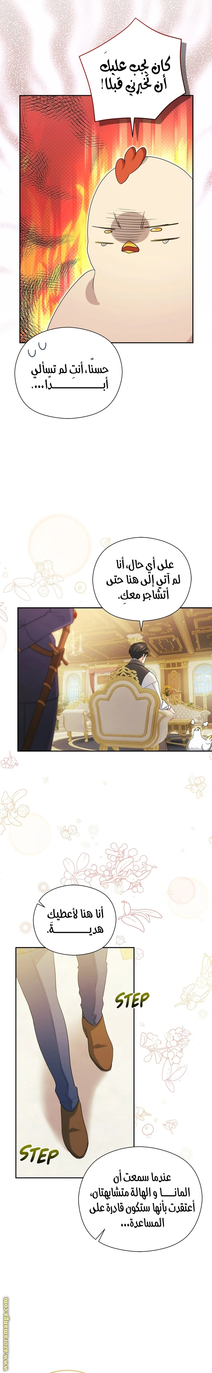 الصفحة 14