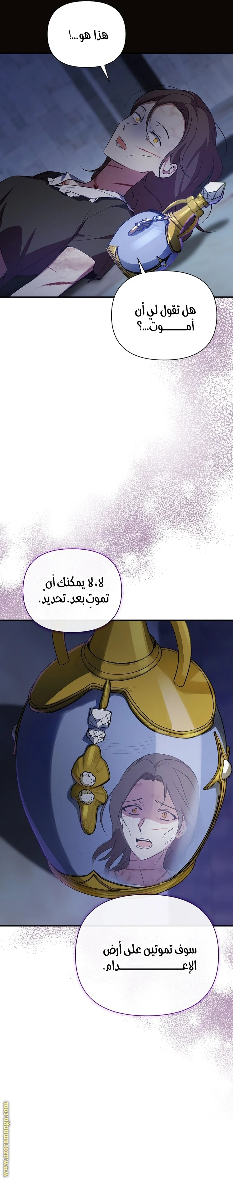 الصفحة 3