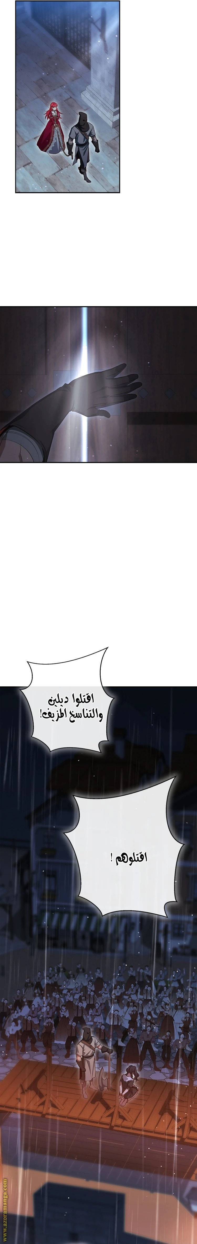 الصفحة 17