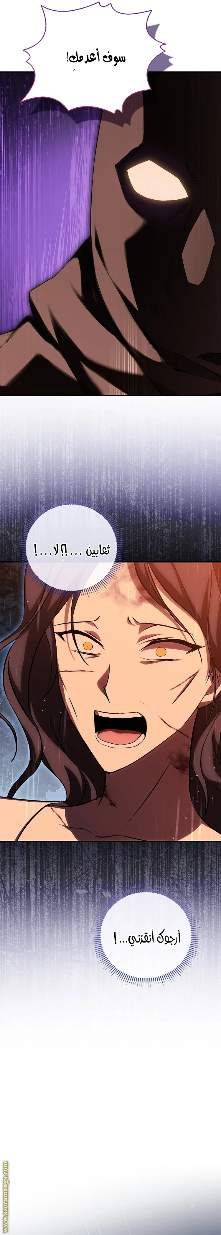 الصفحة 25