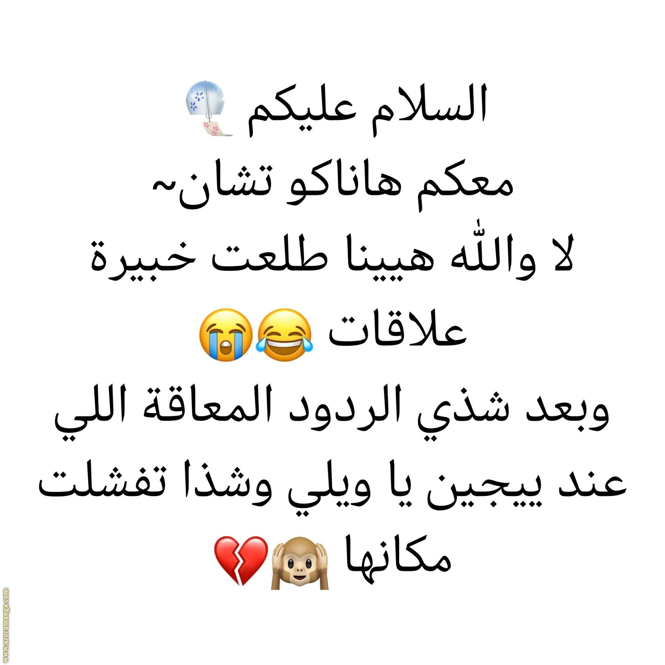 الصفحة 23