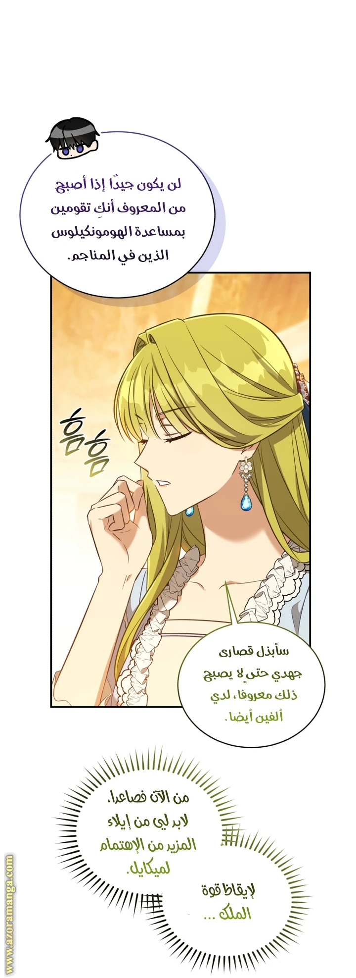الصفحة 14