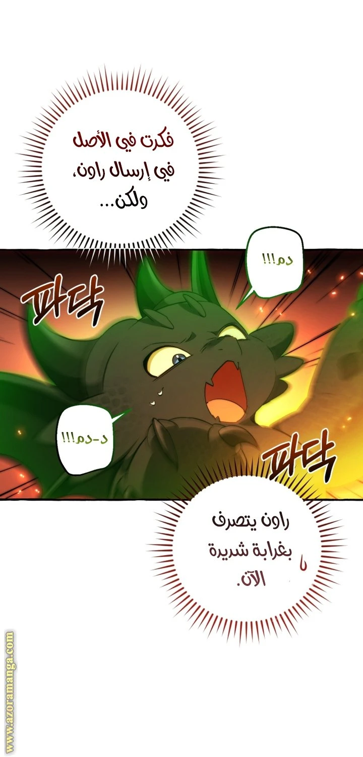 الصفحة 24