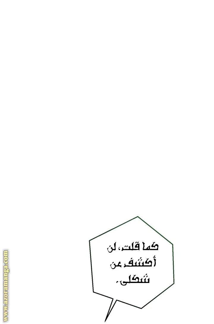 الصفحة 46