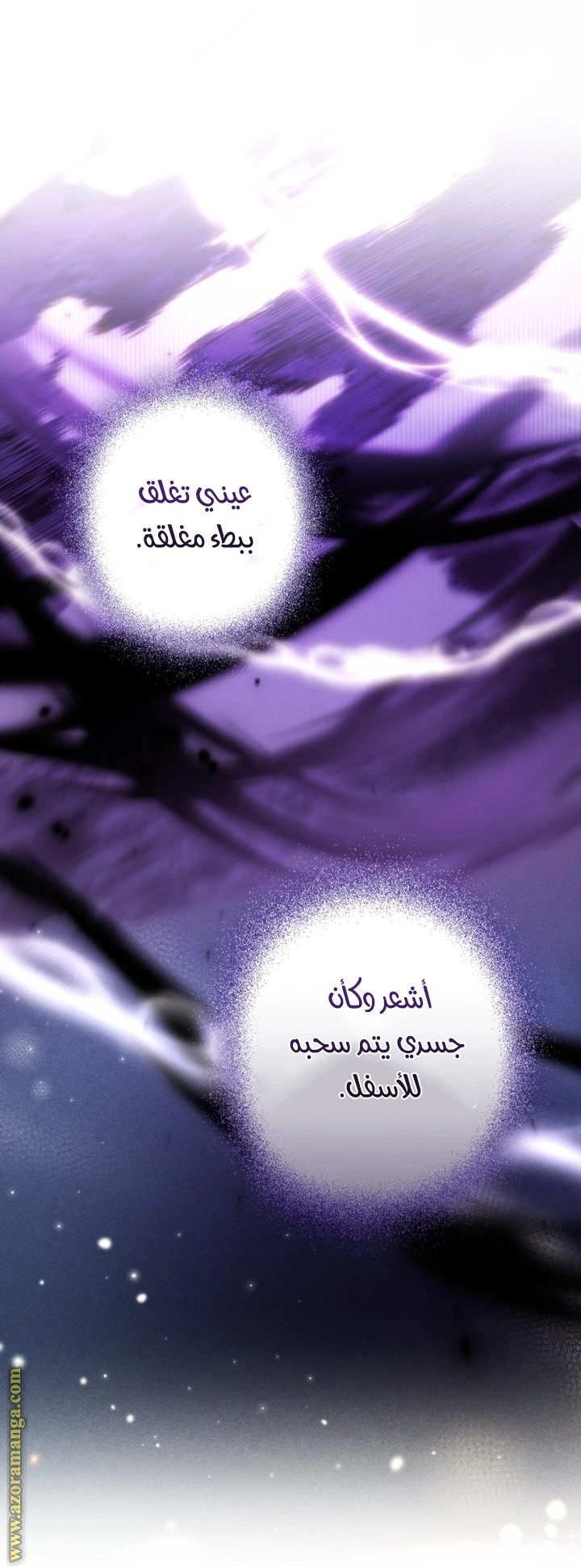 الصفحة 52