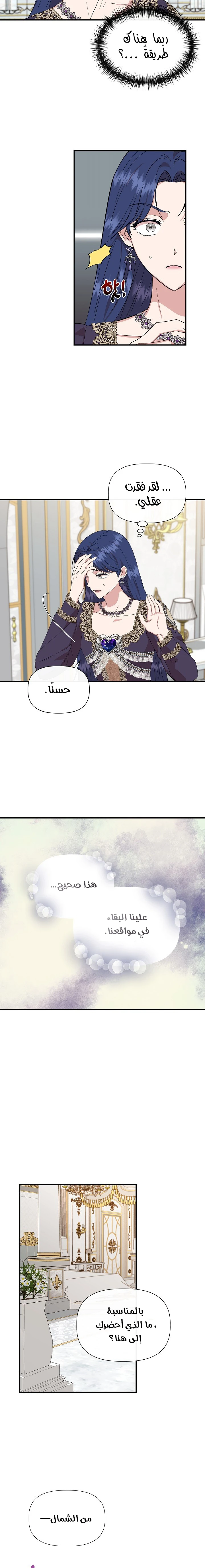 الصفحة 16
