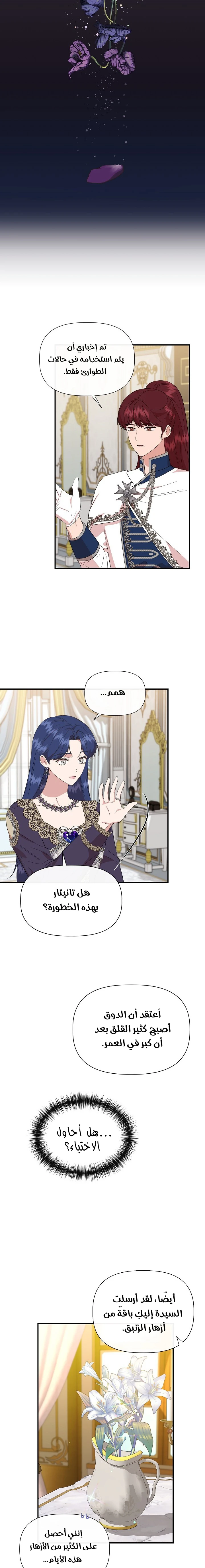 الصفحة 19