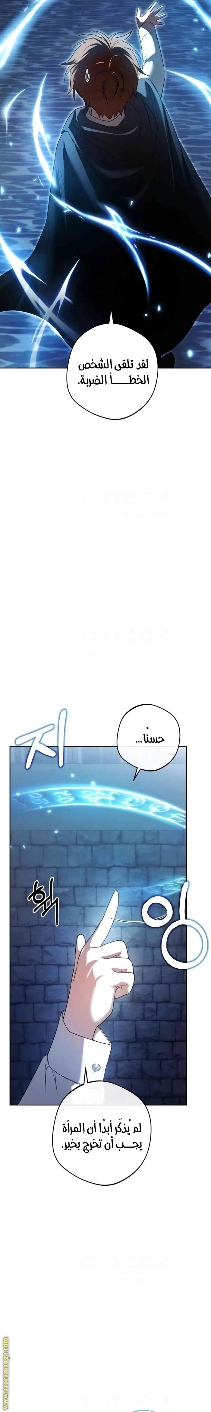 الصفحة 13