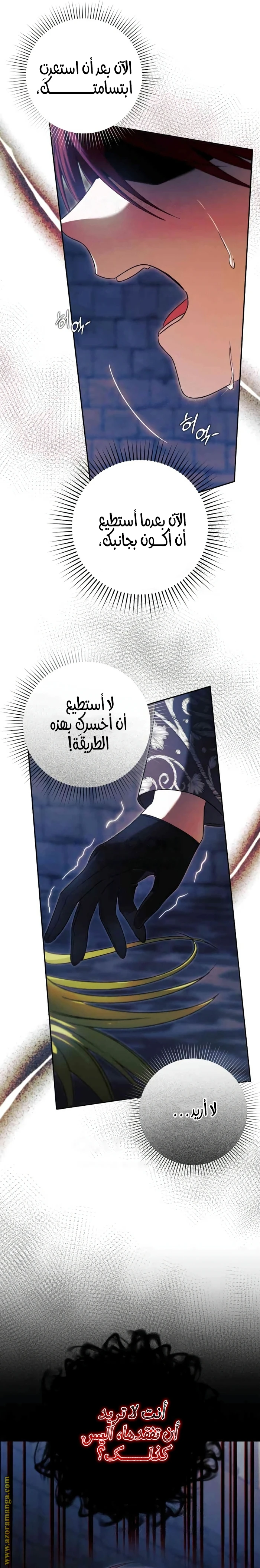 الصفحة 17
