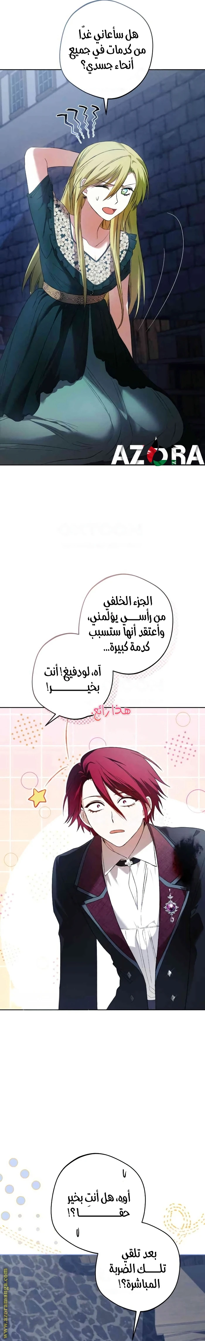 الصفحة 19