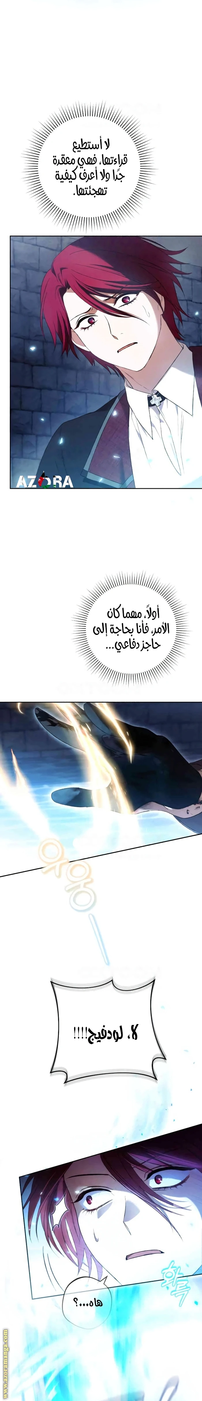 الصفحة 21