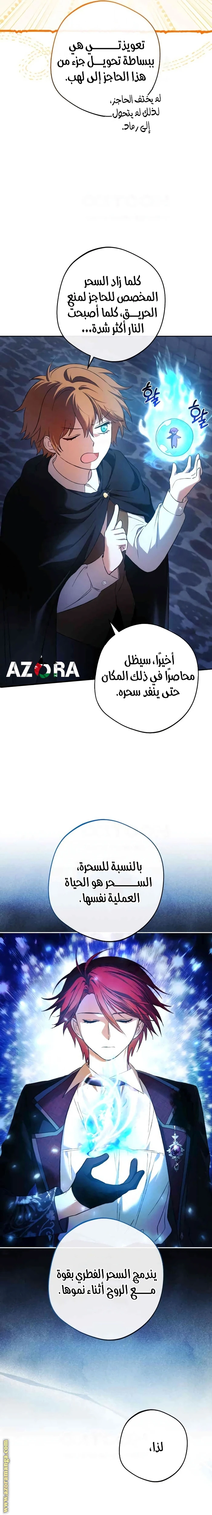 الصفحة 26