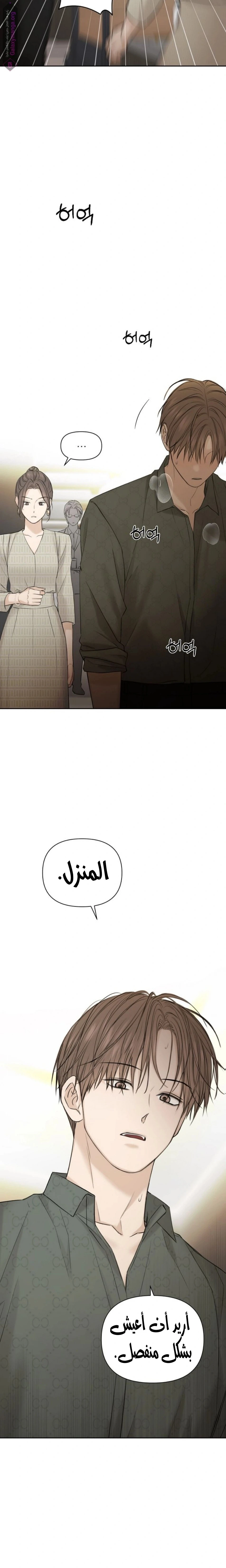 الصفحة 11